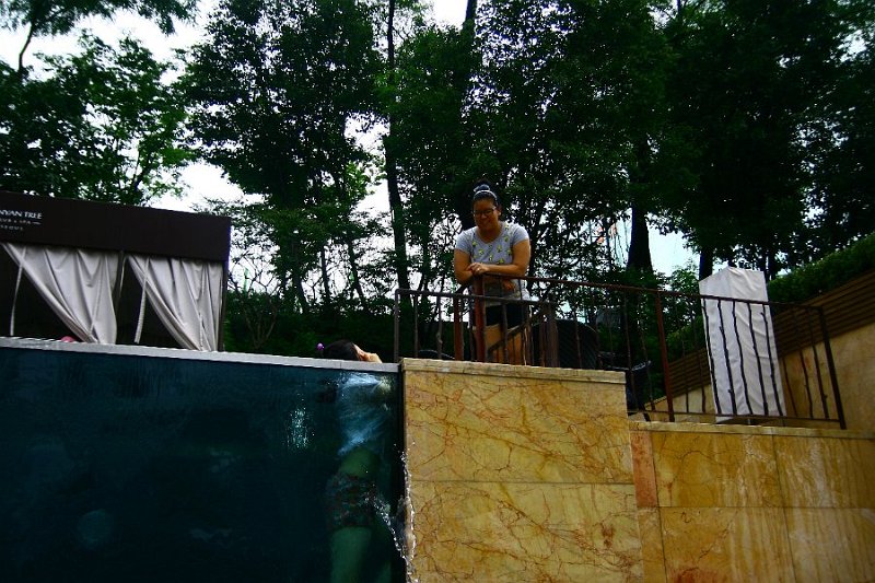 2011 banyan tree02.jpg